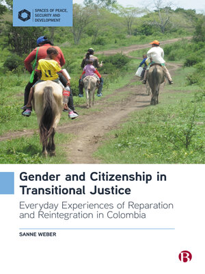cover image of Gender and Citizenship in Transitional Justice